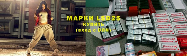 сатива Осинники