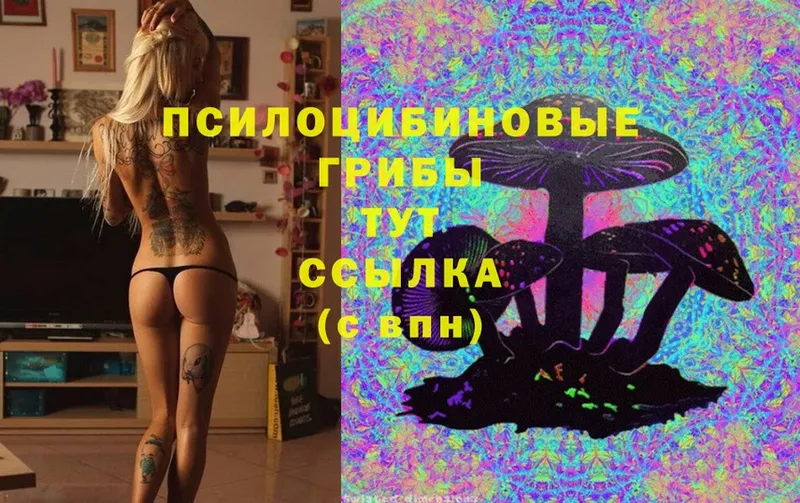 Псилоцибиновые грибы Magic Shrooms  сайты даркнета официальный сайт  Дальнереченск 