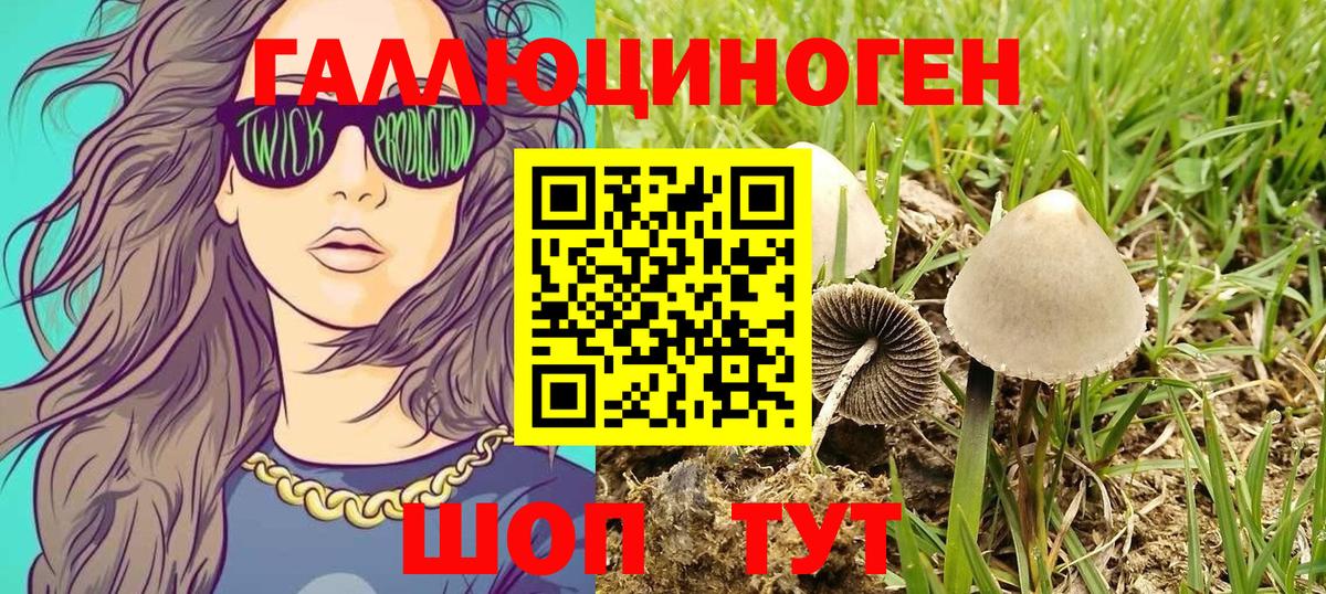 Галлюциногенные грибы Cubensis  Вход с VPN  Дальнереченск 