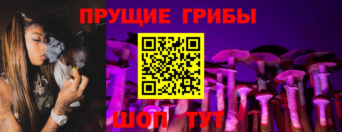 Псилоцибиновые грибы Cubensis Дальнереченск
